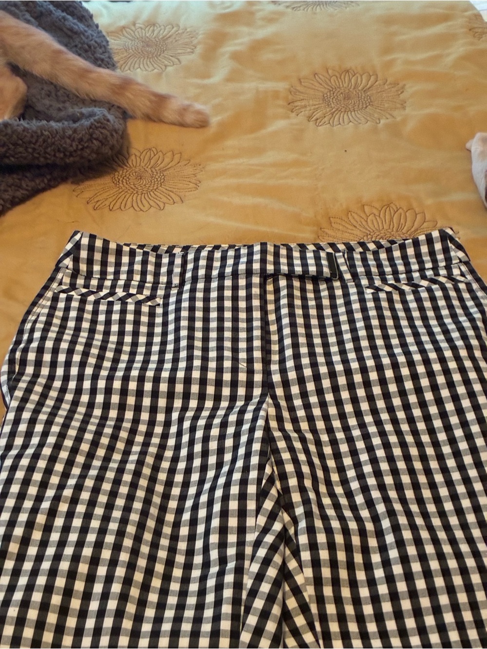 White House Black Market Black and White Gingham Cropped Pants